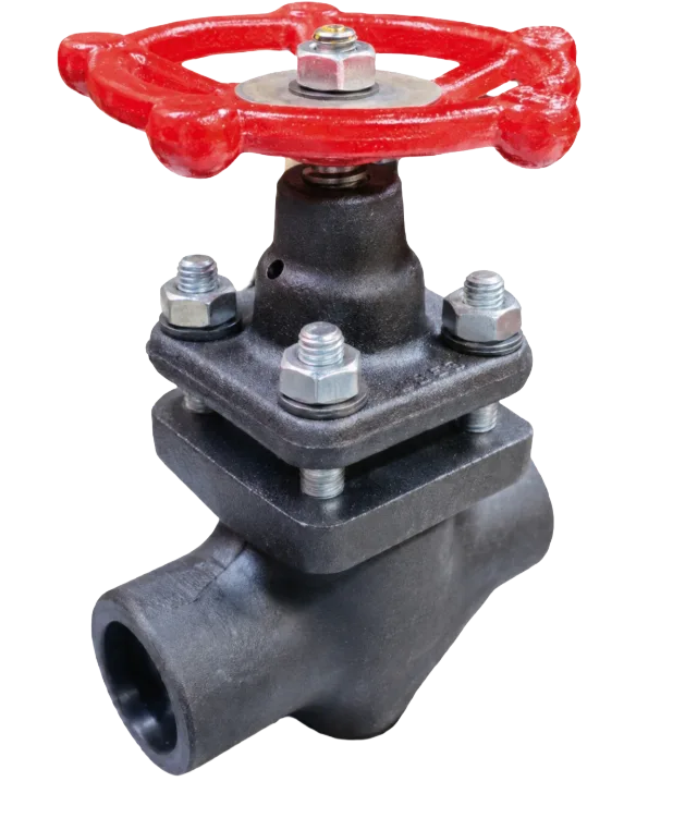 Screwed / socket-weld piston valve
